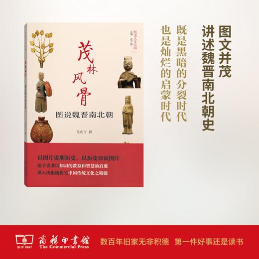 茂林风骨——图说魏晋南北朝(图说人文中国) 商品图0