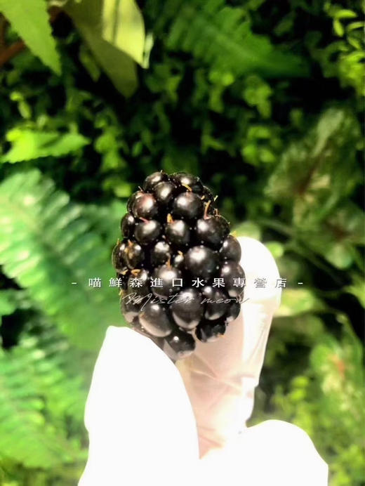 🛵怡颗莓黑莓（酸甜口）花青素爆满 商品图3