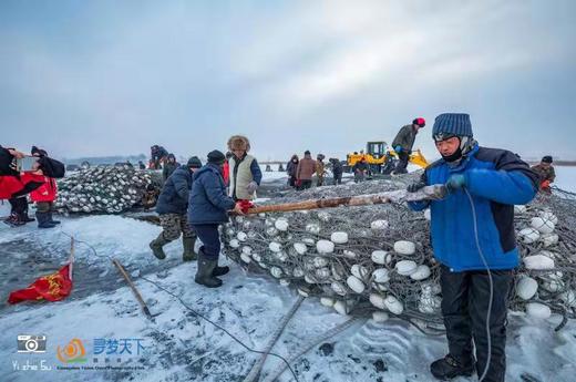 冰雪奇缘(H）：朝鲜族风情、长白山、雪乡、东北虎、哈尔滨8天+扎龙丹顶鹤、查干湖冬捕节、吉林雾凇12天+通辽奈曼旗沙漠、沈阳故宫15天 商品图12