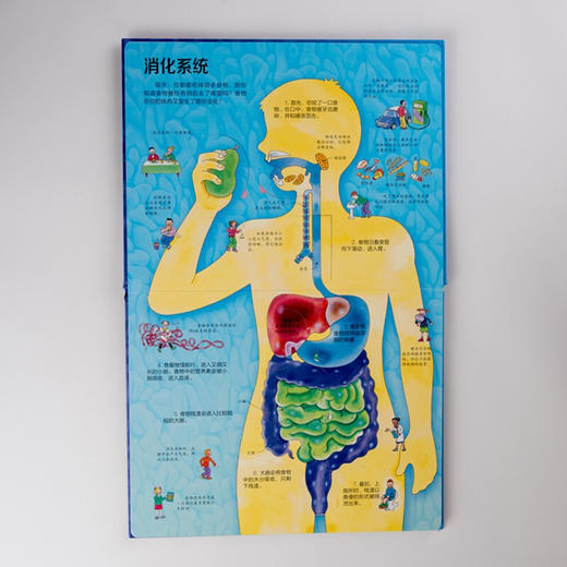 揭秘身体 7-10岁 英国尤斯伯恩出版公司 著 科普百科 商品图1