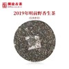澜沧古茶2019年明前野香 商品缩略图1