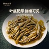 澜沧古茶古树秋香  （2016年生茶） 商品缩略图3