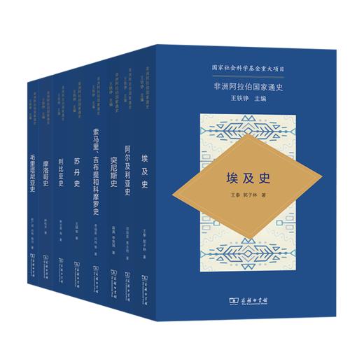 非洲阿拉伯通史（八卷装） 商品图0