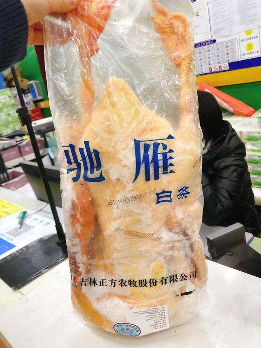 驰雁一只（拼团） 商品图1