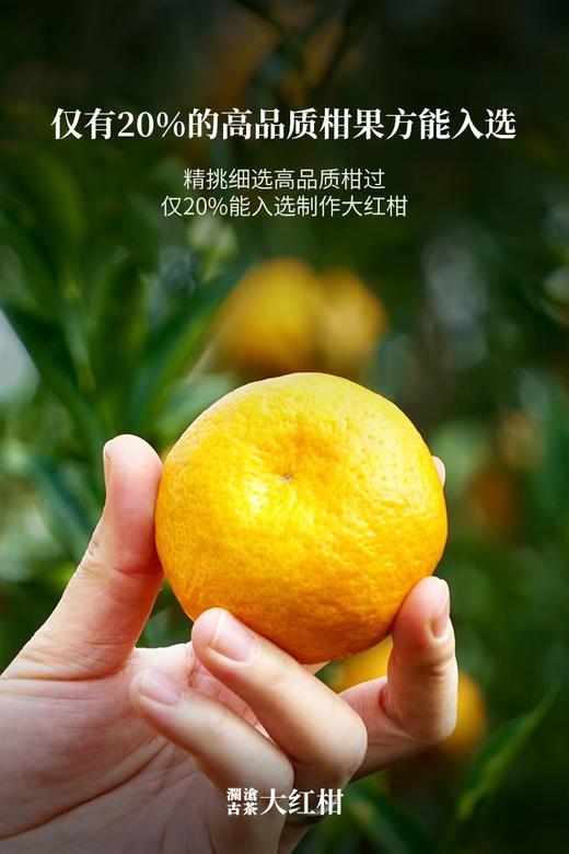 澜沧古茶2018年款大红柑 商品图4