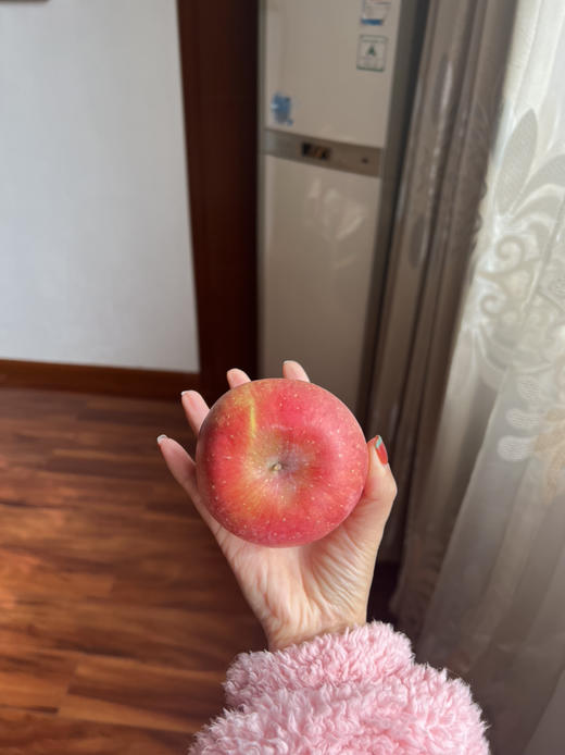 有机红富士苹果10斤装 商品图0