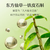 【清新口气】石斛清口片  清新口气调理肠胃  11味草本配方  0蔗糖0防腐剂   石斛槐花压片糖果  口香糖口臭口气片20粒/盒 商品缩略图2