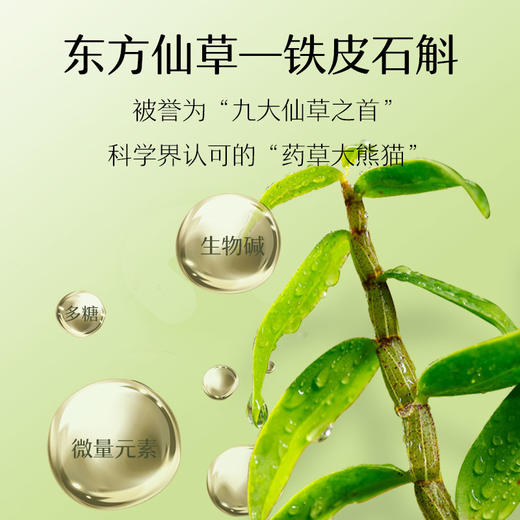 【清新口气】石斛清口片  清新口气调理肠胃  11味草本配方  0蔗糖0防腐剂   石斛槐花压片糖果  口香糖口臭口气片20粒/盒 商品图2