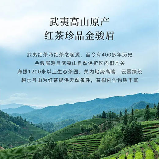  【金骏眉】 三金七黑 汤色金黄 回甘带蜜 商品图3