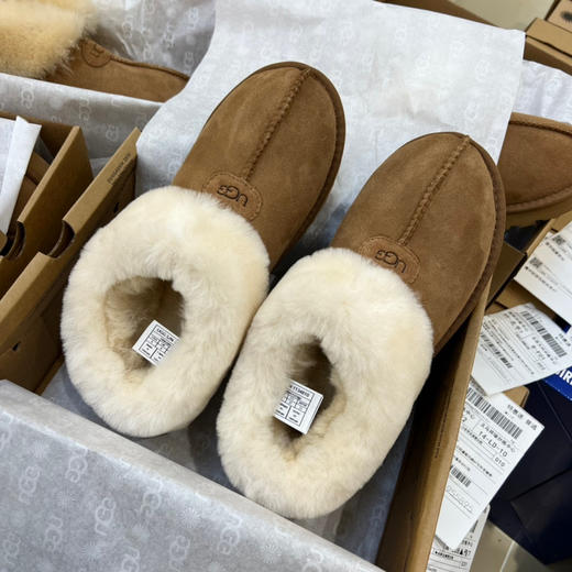 Ugg新款塔次特 -栗色 商品图2