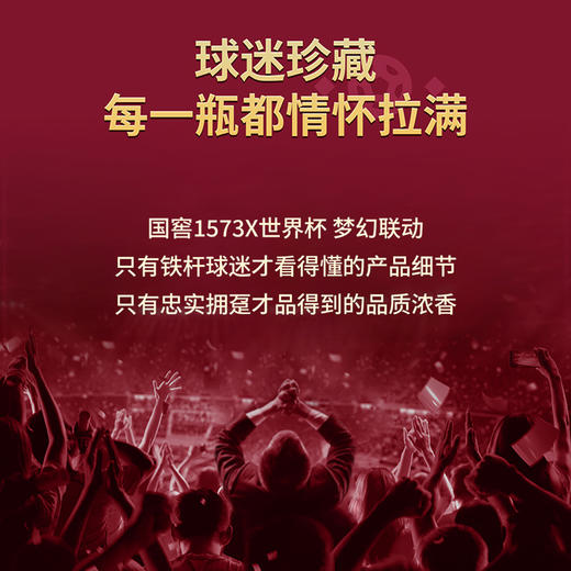 国窖1573酒·2022年卡塔尔世界杯纪念版 52度 500ml*1瓶 泸州老窖官方形象店 商品图3