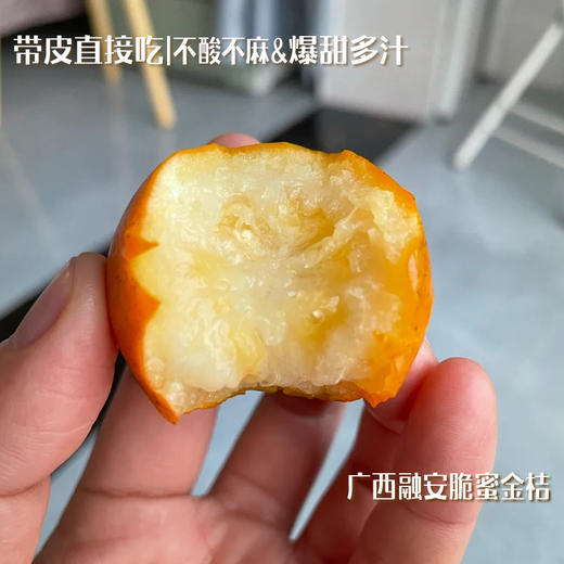 广西融安脆蜜金桔  金桔地理标志产品 现摘现发 带皮即食 肉质细腻 商品图9