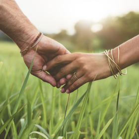 Harmony & Connection