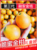 广西融安脆蜜金桔  金桔地理标志产品 现摘现发 带皮即食 肉质细腻 商品缩略图8