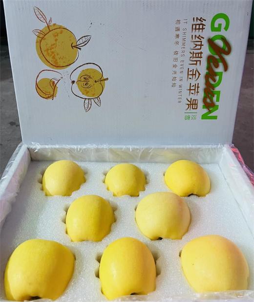 黄金维纳斯苹果 |水果 商品图0