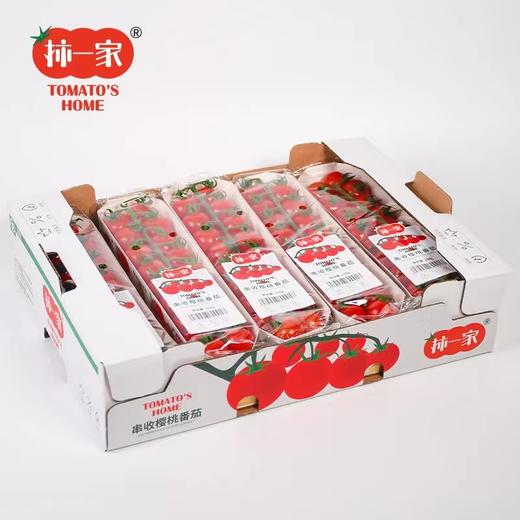 柿一家 串收樱桃番茄198g|水果 商品图1