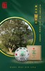 澜沧古茶邦崴金瓜（2017年生茶） 商品缩略图4