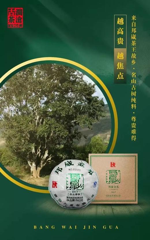 澜沧古茶邦崴金瓜（2017年生茶） 商品图4