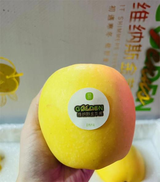 黄金维纳斯苹果 |水果 商品图1
