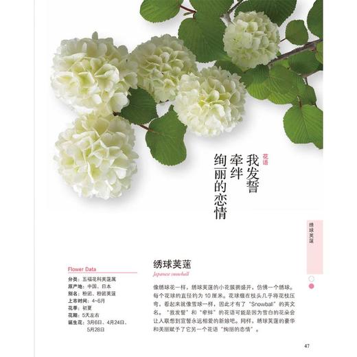 花颜花语 商品图3