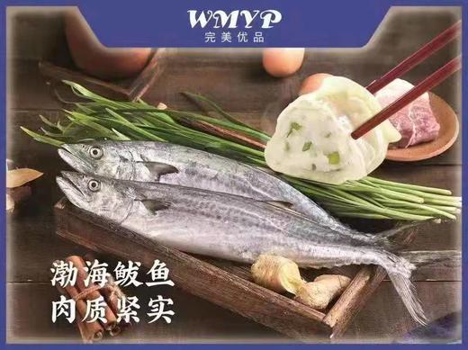 AY高端定制深海鲅鱼水饺美味组 宜佳 商品图3