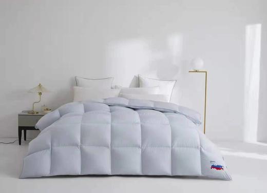 鹅绒被 被子 商品图1