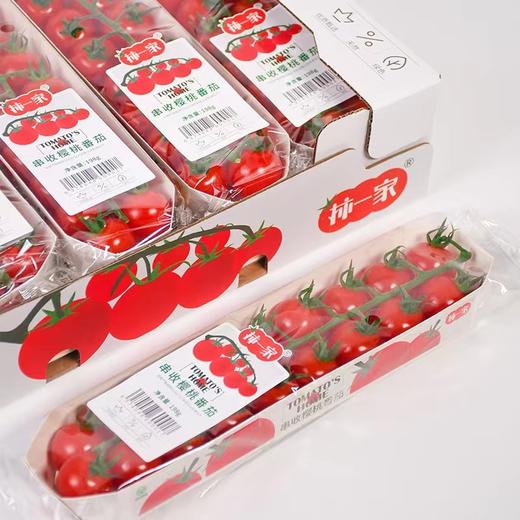 柿一家 串收樱桃番茄198g|水果 商品图2