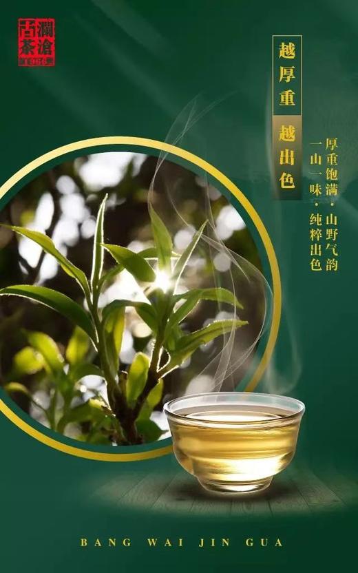 澜沧古茶邦崴金瓜（2017年生茶） 商品图2