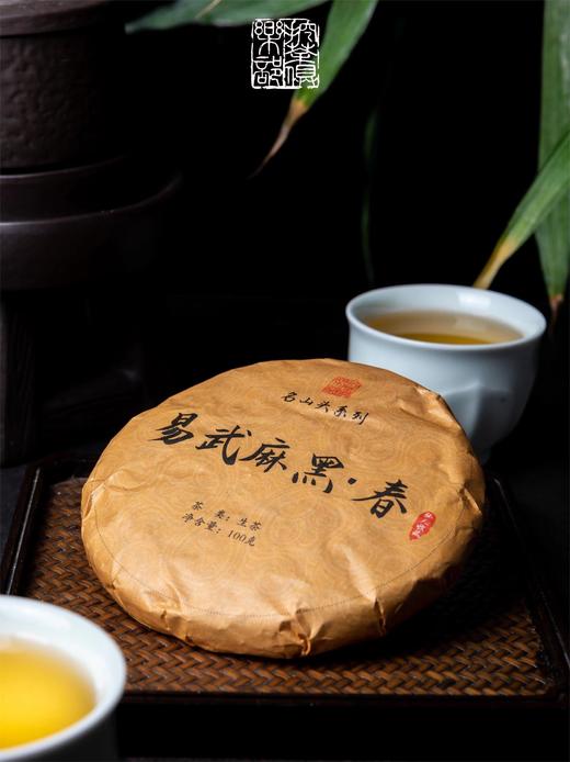 【挖茶】2021头春古树茶·易武麻黑·春 顺丰包邮 商品图0