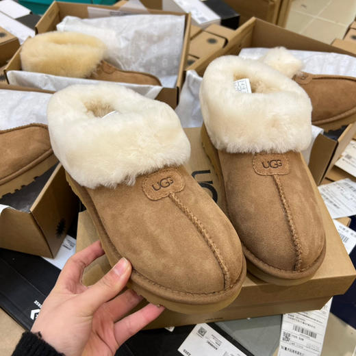 Ugg新款塔次特 -栗色 商品图1