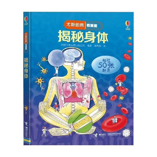 揭秘身体 7-10岁 英国尤斯伯恩出版公司 著 科普百科 商品图0