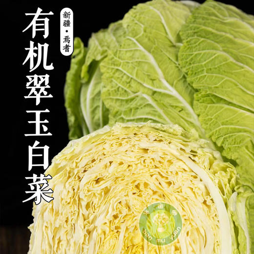 新疆有机翠玉大白菜/约8斤（±200g）【1颗、2颗随机发，不接受指定】 商品图2