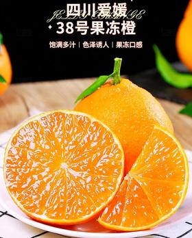 爱媛 • 果冻橙|水果