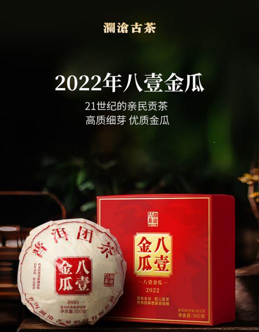 澜沧古茶八壹金瓜 （2022年熟茶） 商品图0