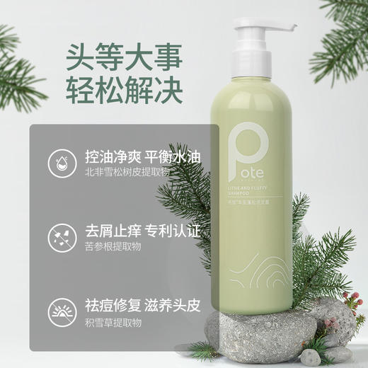 【3D蓬松感】pote柏缇丰盈蓬松洗发露2.0 深度去屑 修复头皮 植物萃取 300ml 商品图3