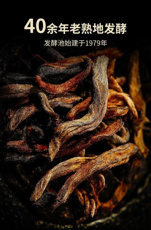 澜沧古茶2021年茶妈妈小青柑 商品图4