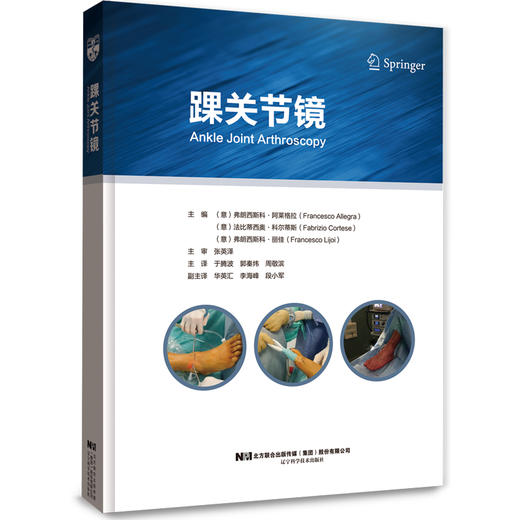 踝关节镜 主审 张英泽  辽科出版 商品图0