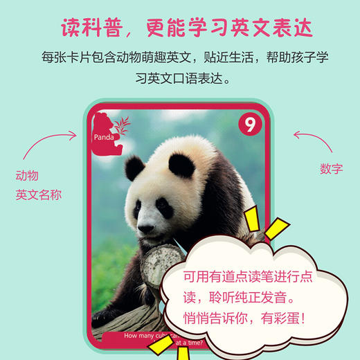 DK动物成长奥秘：看！我在长大 中英双语版+学习卡 套装2册 商品图8