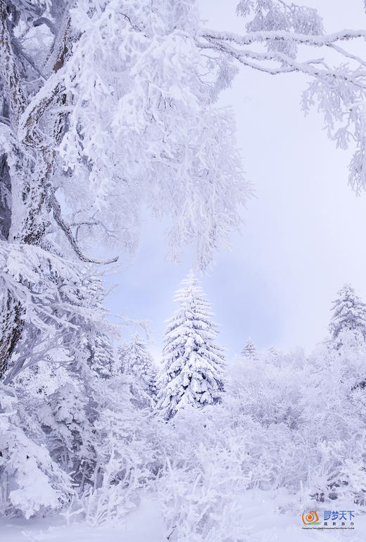 冰雪奇缘(H）：朝鲜族风情、长白山、雪乡、东北虎、哈尔滨8天+扎龙丹顶鹤、查干湖冬捕节、吉林雾凇12天+通辽奈曼旗沙漠、沈阳故宫15天 商品图5