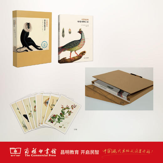 可装裱的印度博物艺术 商务印书馆 商品图2