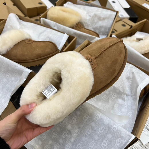 Ugg新款塔次特 -栗色 商品图5