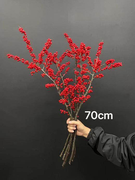 精品A级北美冬青富贵籽多款选择 商品图6