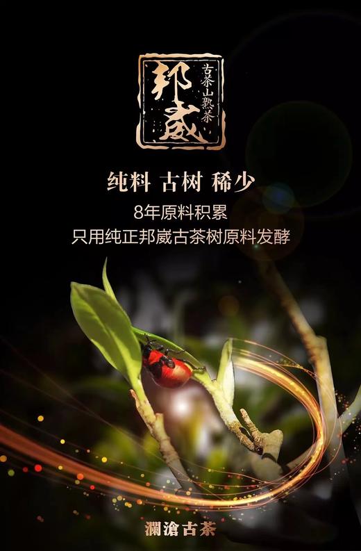 澜沧古茶邦崴古树熟茶    （2017年） 商品图4