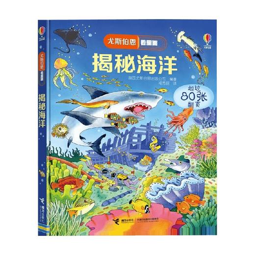 揭秘海洋 7-10岁 英国尤斯伯恩出版公司 著 科普百科 商品图0