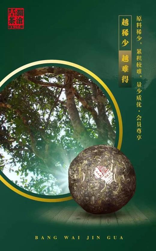 澜沧古茶邦崴金瓜（2017年生茶） 商品图3