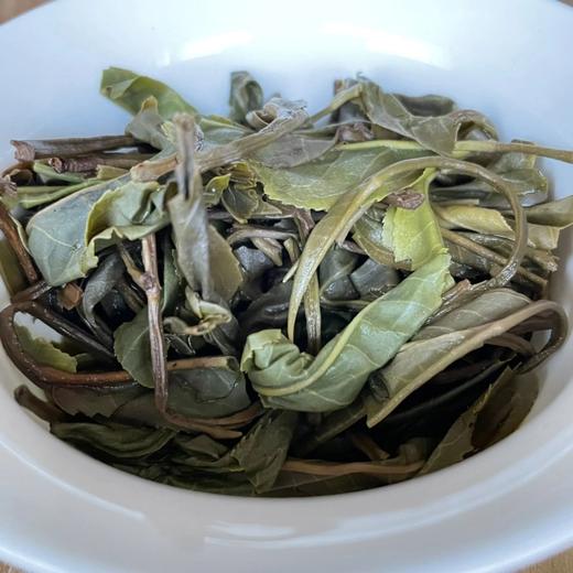【挖茶】2021头春古树茶·易武麻黑·春 顺丰包邮 商品图5