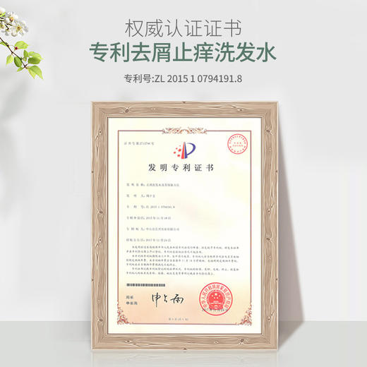 【3D蓬松感】pote柏缇丰盈蓬松洗发露2.0 深度去屑 修复头皮 植物萃取 300ml 商品图4