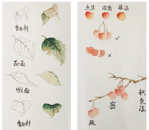 本周活动招募 ：少儿绘本宣纸画 商品图2