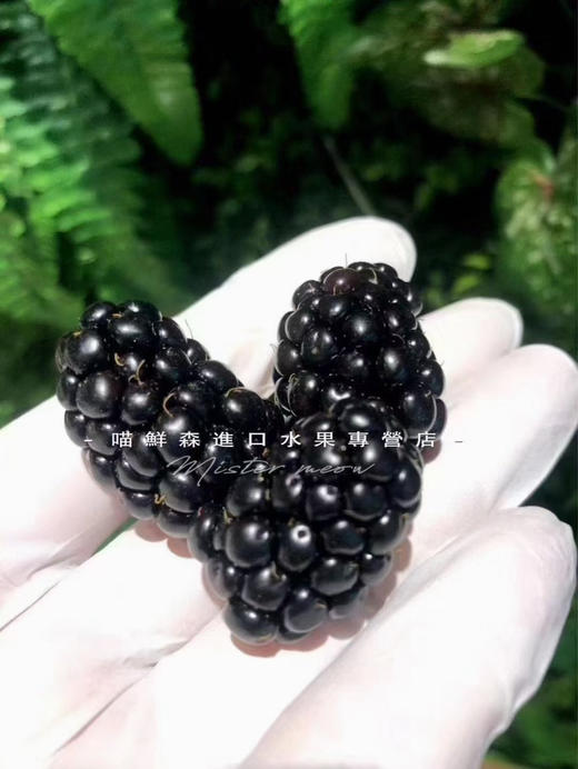 🛵怡颗莓黑莓（酸甜口）花青素爆满 商品图1