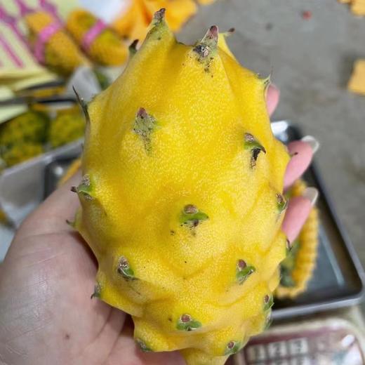 [最农公社]顺丰|海南燕窝果2斤3斤5斤新鲜采摘清甜嫩滑 商品图5